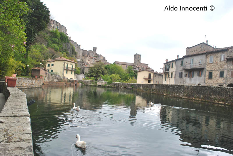 SANTA FIORA: PESCHIERA 10